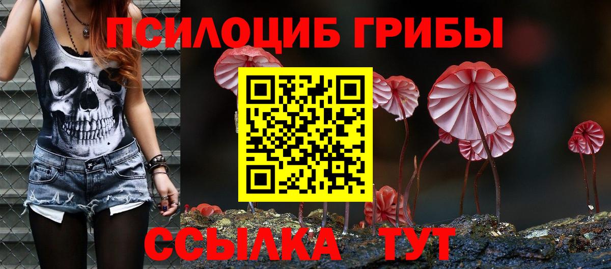 Петрозаводск  Псилоцибиновые грибы Psilocybine cubensis  Вход с VPN 