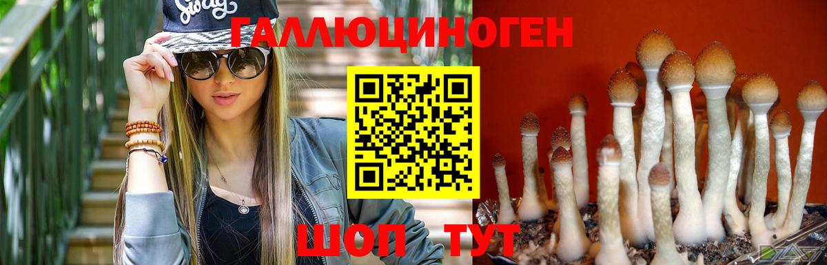 Псилоцибиновые грибы GOLDEN TEACHER Петрозаводск